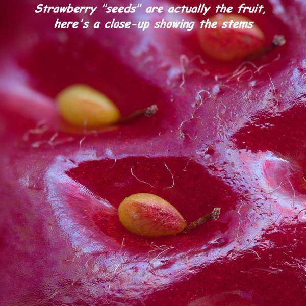 daily picdump 99 pics 2.html - 99 HD Photos | Premium Gallery 2016