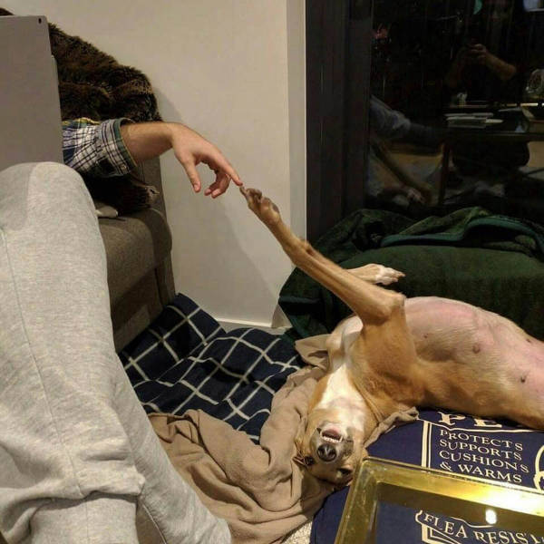 morning picdump 53 pics 6.html - 53 HD Photos | Premium Gallery 2016