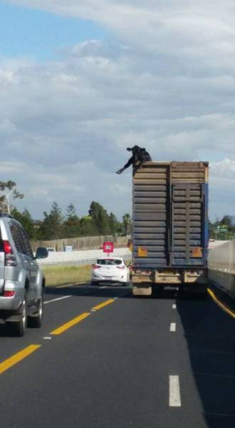 morning picdump 53 pics 6.html - 53 HD Photos | Premium Gallery 2016