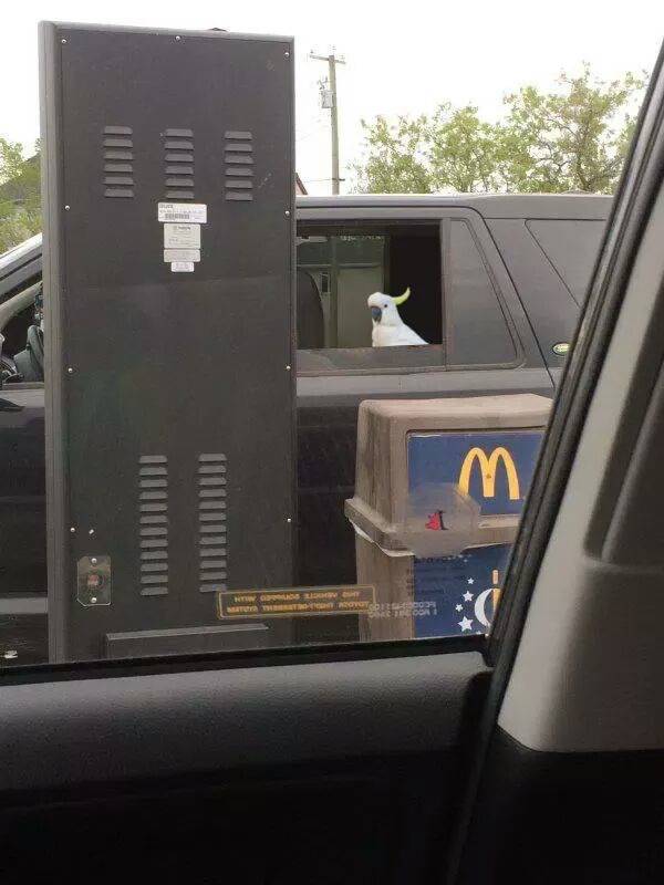 morning picdump 53 pics 6.html - 53 HD Photos | Premium Gallery 2016