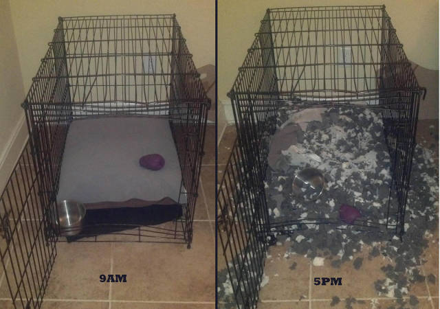 daily picdump weekend edition 52 pics 20.html - 52 HD Photos | Premium Gallery 2016