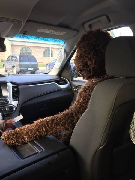 daily picdump weekend edition 52 pics 20.html - 52 HD Photos | Premium Gallery 2016