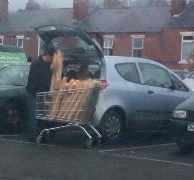 daily picdump weekend edition 52 pics 20.html - 52 HD Photos | Premium Gallery 2016