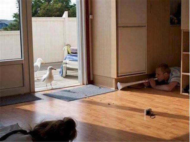 daily picdump 108 pics 2.html - 108 HD Photos | Premium Gallery 2016
