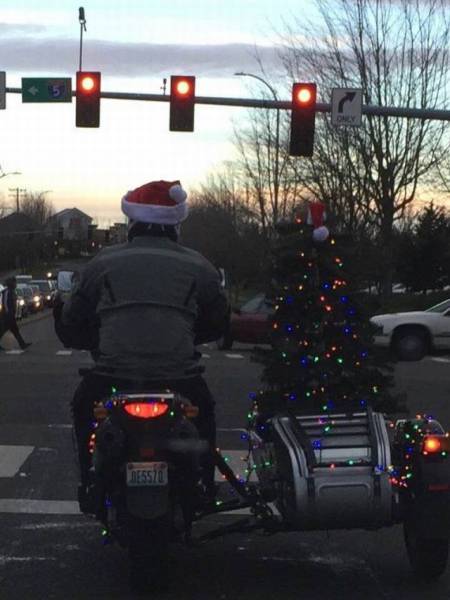 daily picdump 108 pics 2.html - 108 HD Photos | Premium Gallery 2016