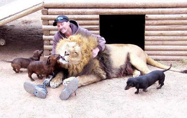 daily picdump 108 pics 2.html - 108 HD Photos | Premium Gallery 2016