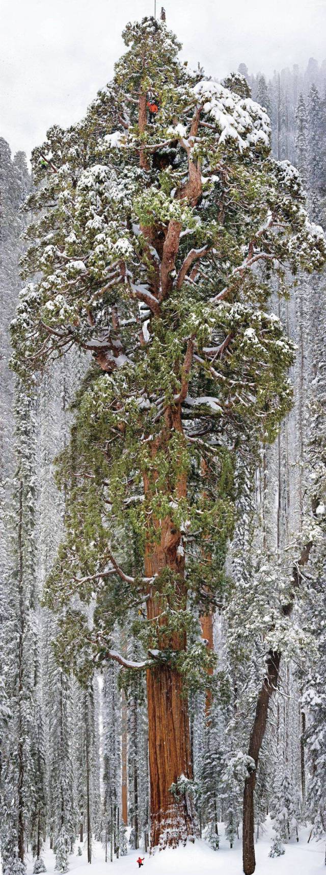 daily picdump 108 pics 2.html - 108 HD Photos | Premium Gallery 2016