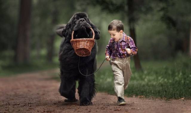 daily picdump 102 pics 3.html - 102 HD Photos | Premium Gallery 2016