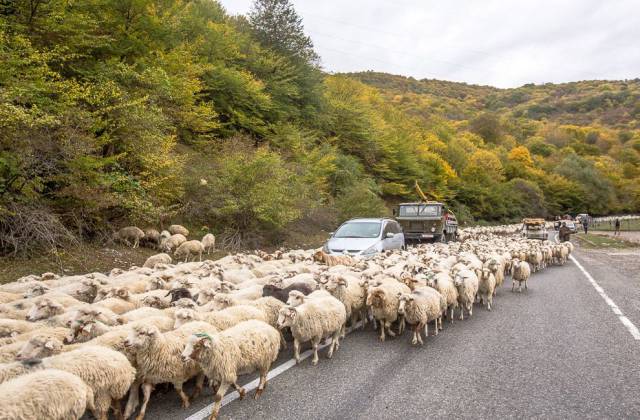 daily picdump 102 pics 3.html - 102 HD Photos | Premium Gallery 2016