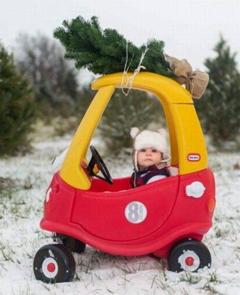 daily picdump 102 pics 3.html - 102 HD Photos | Premium Gallery 2016