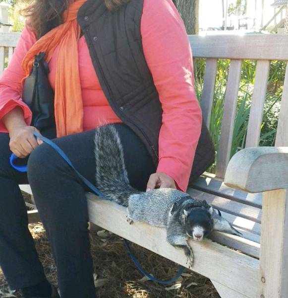 daily picdump 102 pics 3.html - 102 HD Photos | Premium Gallery 2016