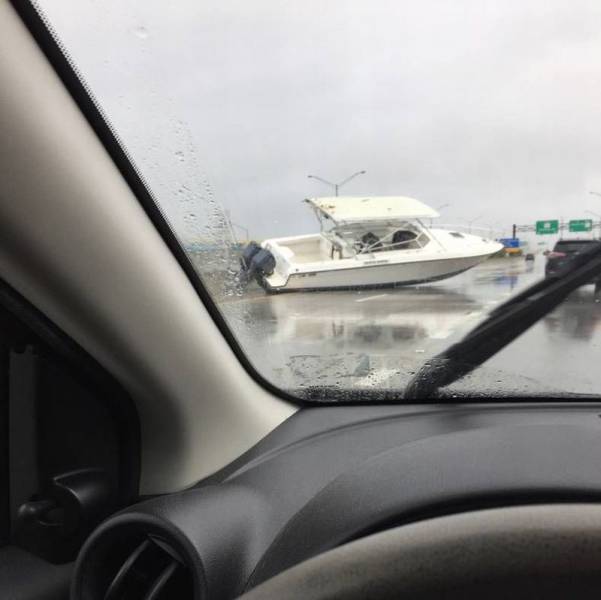 daily picdump 102 pics 3.html - 102 HD Photos | Premium Gallery 2016