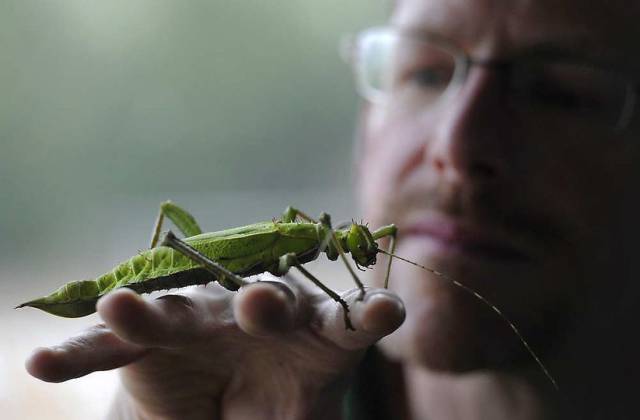 daily picdump 102 pics 3.html - 102 HD Photos | Premium Gallery 2016