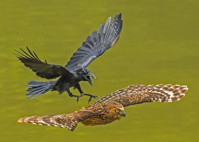 daily picdump 102 pics 3.html - 102 HD Photos | Premium Gallery 2016