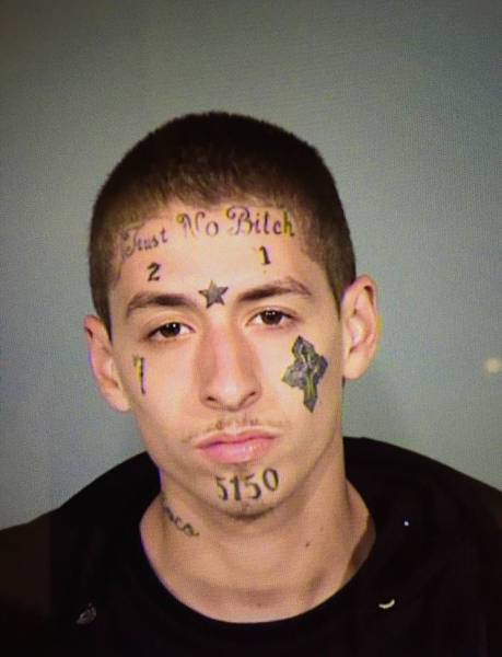 daily picdump 102 pics 3.html - 102 HD Photos | Premium Gallery 2016