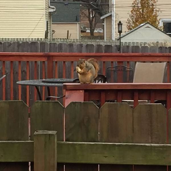 daily picdump 102 pics 3.html - 102 HD Photos | Premium Gallery 2016