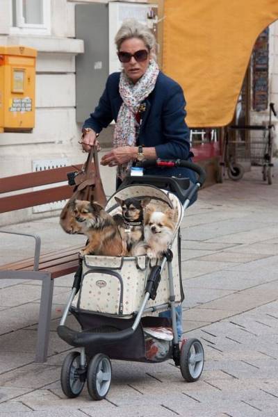 daily picdump 102 pics 3.html - 102 HD Photos | Premium Gallery 2016