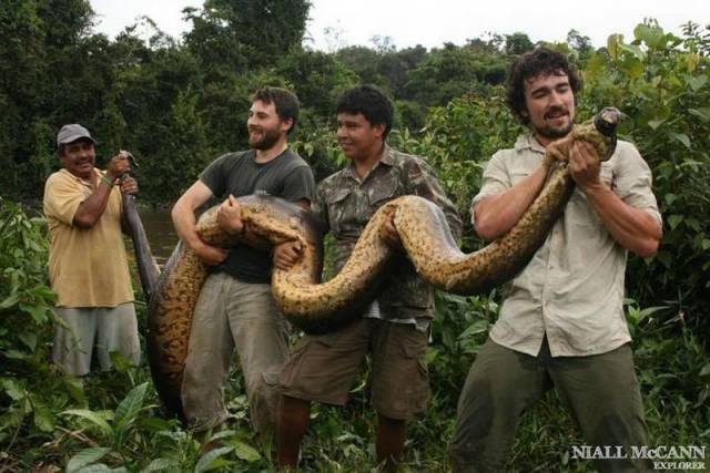 daily picdump 102 pics 3.html - 102 HD Photos | Premium Gallery 2016