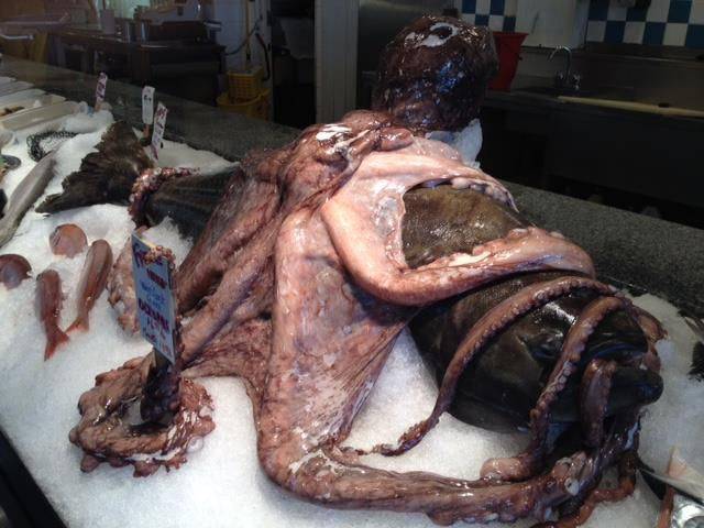 daily picdump 102 pics 3.html - 102 HD Photos | Premium Gallery 2016