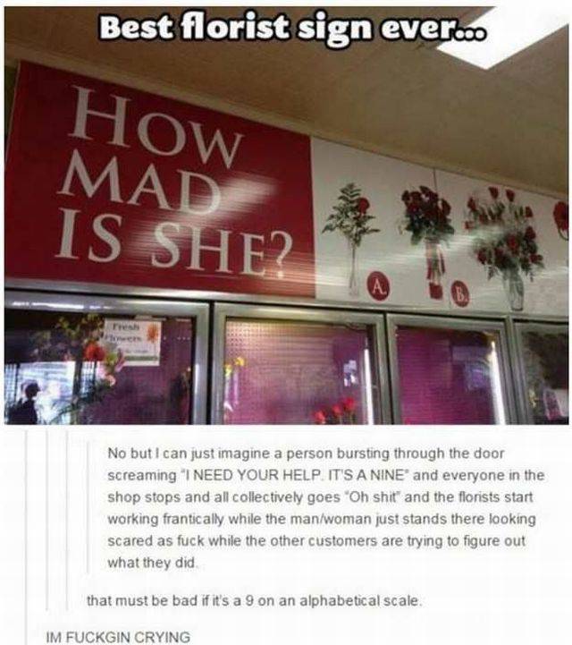 daily picdump 102 pics 3.html - 102 HD Photos | Premium Gallery 2016