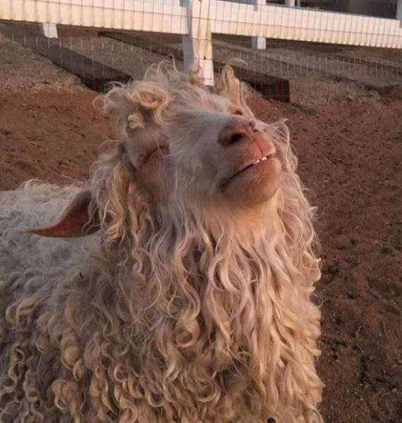 morning picdump 50 pics 17.html - 50 HD Photos | Premium Gallery 2016