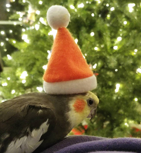 morning picdump 50 pics 17.html - 50 HD Photos | Premium Gallery 2016