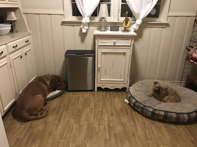 morning picdump 50 pics 17.html - 50 HD Photos | Premium Gallery 2016