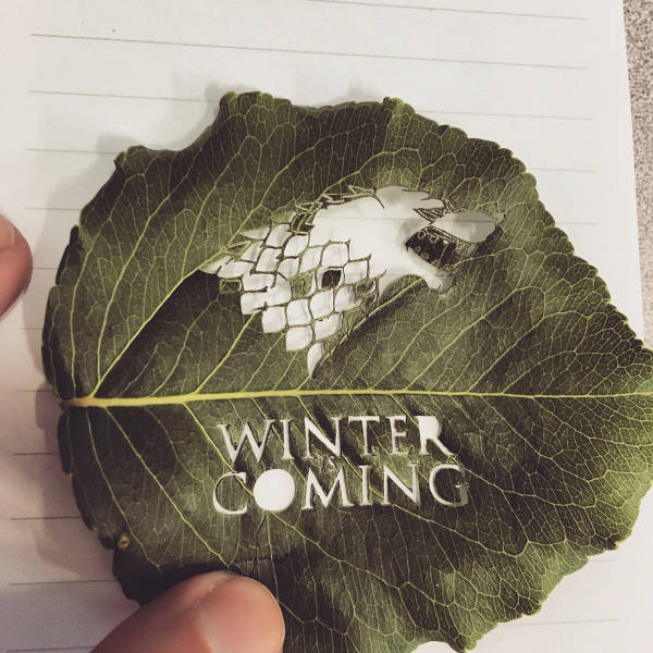 morning picdump 50 pics 17.html - 50 HD Photos | Premium Gallery 2016