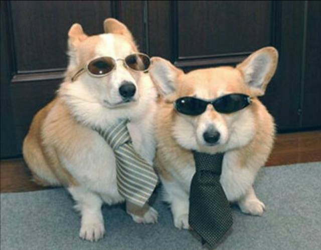 morning picdump 50 pics 17.html - 50 HD Photos | Premium Gallery 2016