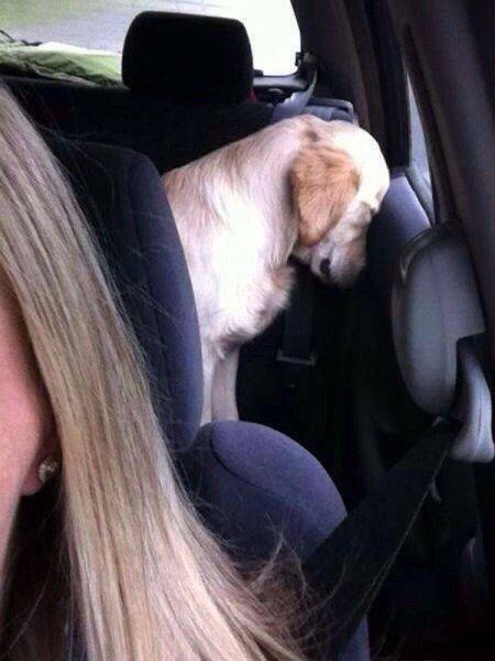 daily picdump 109 pics 45.html - 109 HD Photos | Premium Gallery 2016