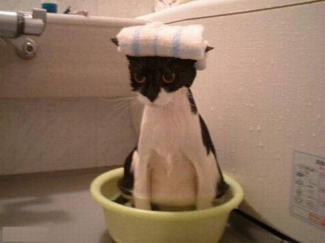 daily picdump 109 pics 45.html - 109 HD Photos | Premium Gallery 2016