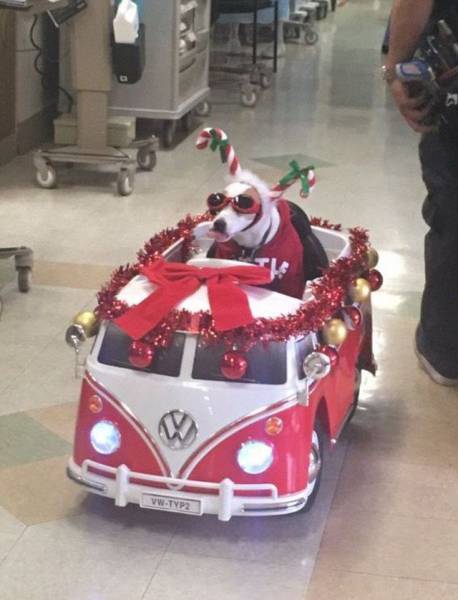 daily picdump 109 pics 45.html - 109 HD Photos | Premium Gallery 2016