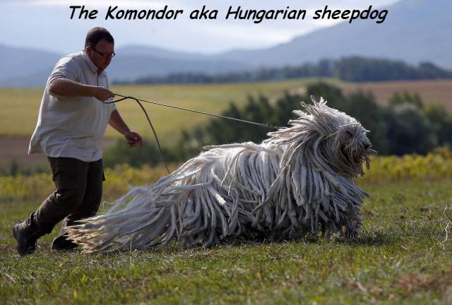 daily picdump 109 pics 45.html - 109 HD Photos | Premium Gallery 2016