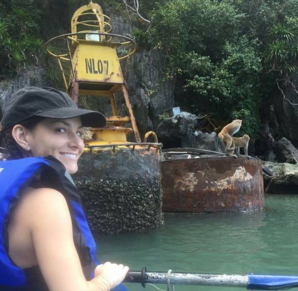 daily picdump 109 pics 45.html - 109 HD Photos | Premium Gallery 2016