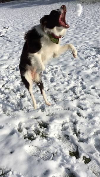 daily picdump 109 pics 45.html - 109 HD Photos | Premium Gallery 2016