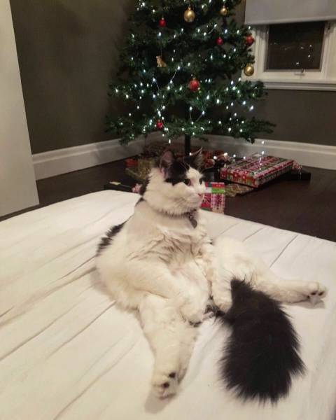 daily picdump 109 pics 45.html - 109 HD Photos | Premium Gallery 2016