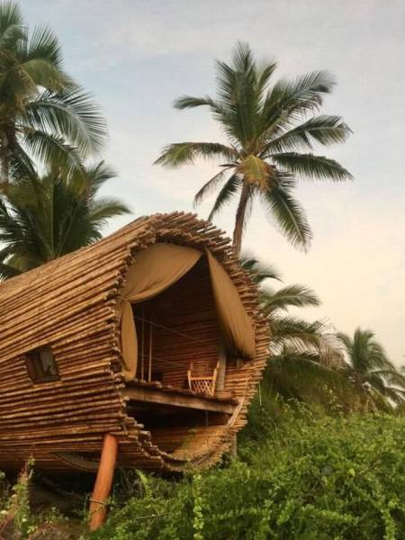 daily picdump 109 pics 45.html - 109 HD Photos | Premium Gallery 2016