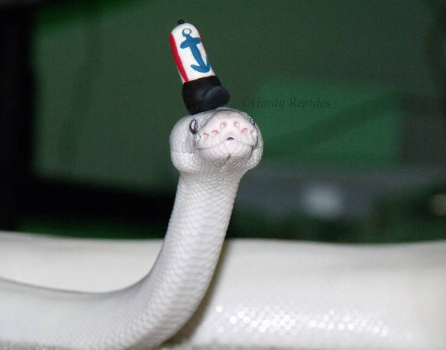 morning picdump 50 pics 8.html - 50 HD Photos | Premium Gallery 2016