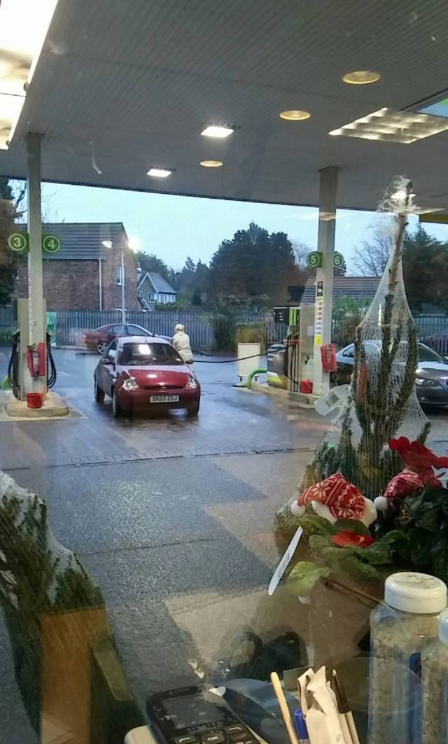 morning picdump 50 pics 8.html - 50 HD Photos | Premium Gallery 2016