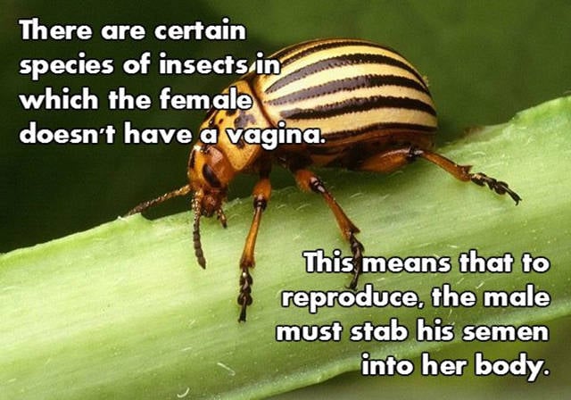 NSFW Facts That Will Blow You Away