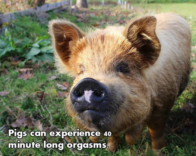 NSFW Facts That Will Blow You Away