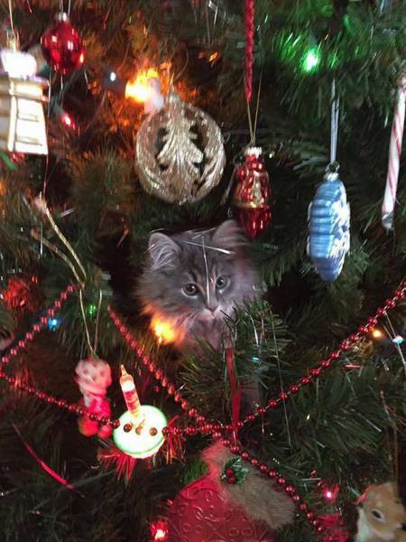 daily picdump 102 pics 48.html - 102 HD Photos | Premium Gallery 2016