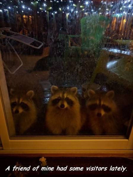 daily picdump 102 pics 48.html - 102 HD Photos | Premium Gallery 2016