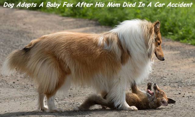 daily picdump 102 pics 48.html - 102 HD Photos | Premium Gallery 2016