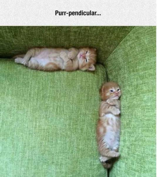 daily picdump 102 pics 48.html - 102 HD Photos | Premium Gallery 2016