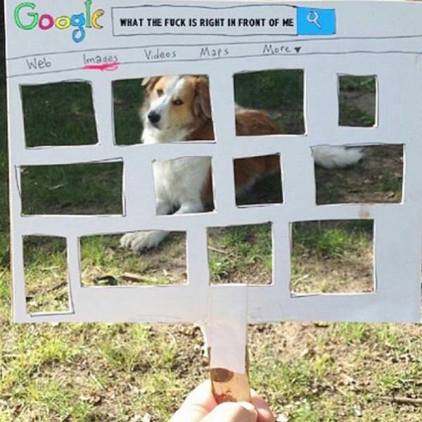 daily picdump 102 pics 48.html - 102 HD Photos | Premium Gallery 2016