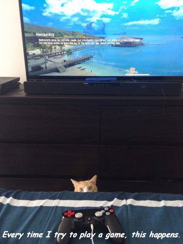 daily picdump 102 pics 48.html - 102 HD Photos | Premium Gallery 2016