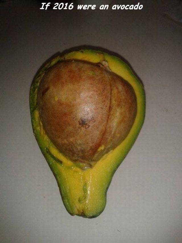 daily picdump 102 pics 48.html - 102 HD Photos | Premium Gallery 2016