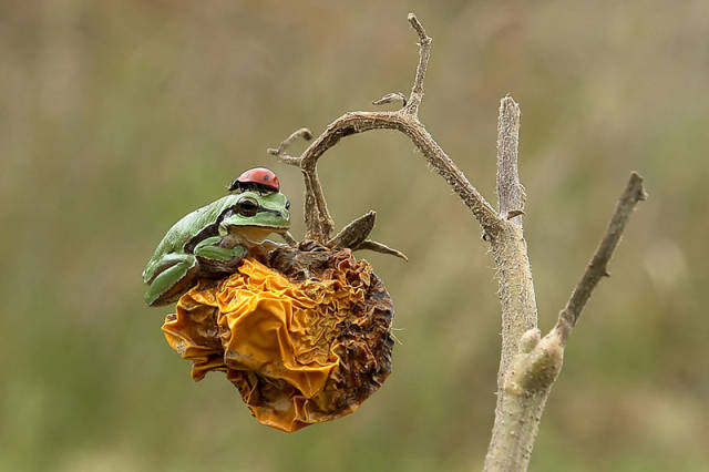 morning picdump 52 pics 19.html - 52 HD Photos | Premium Gallery 2016