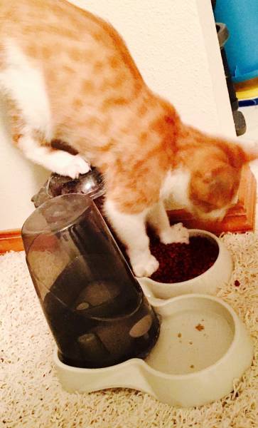 morning picdump 52 pics 19.html - 52 HD Photos | Premium Gallery 2016